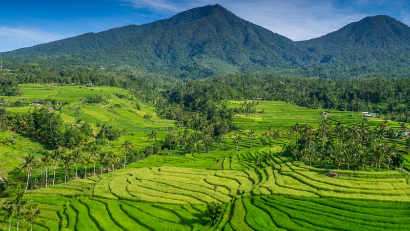 Indonesia Mendunia! Dua Desa Wisata Raih Prestasi di Tingkat Global